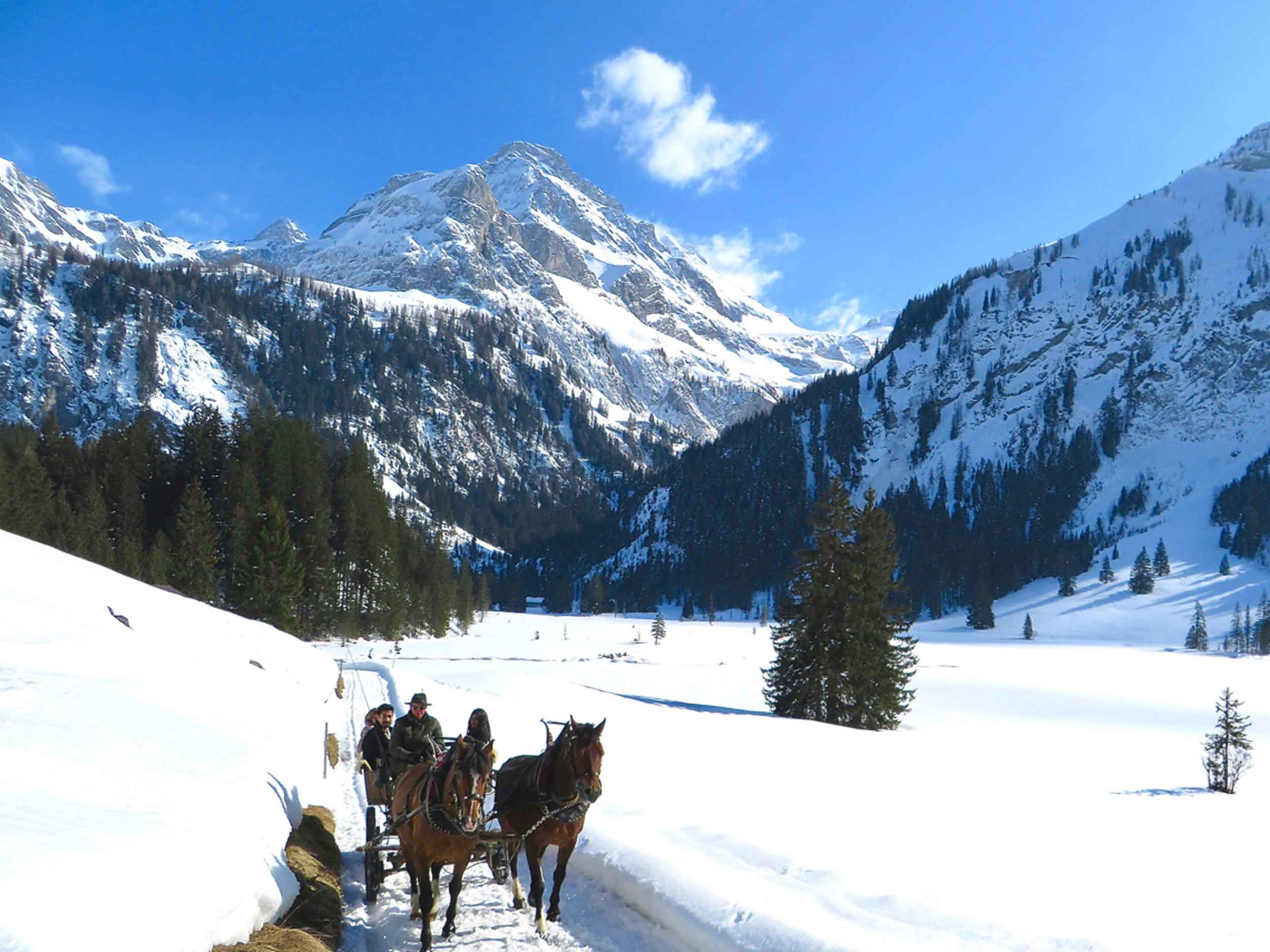 The King of Romance Tour in Switzerland by Erwin Tours of Switzerland-Winter Bollywood Tour with horse carriage