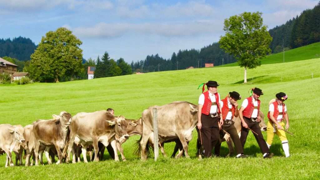 The Appenzeller and Toggenburger Alpfahrt is a Living Tradition of Switzerland - Culture and Tradition Tours with Erwin Tours of Switzerland - Photo © Erwin Fässler Photography