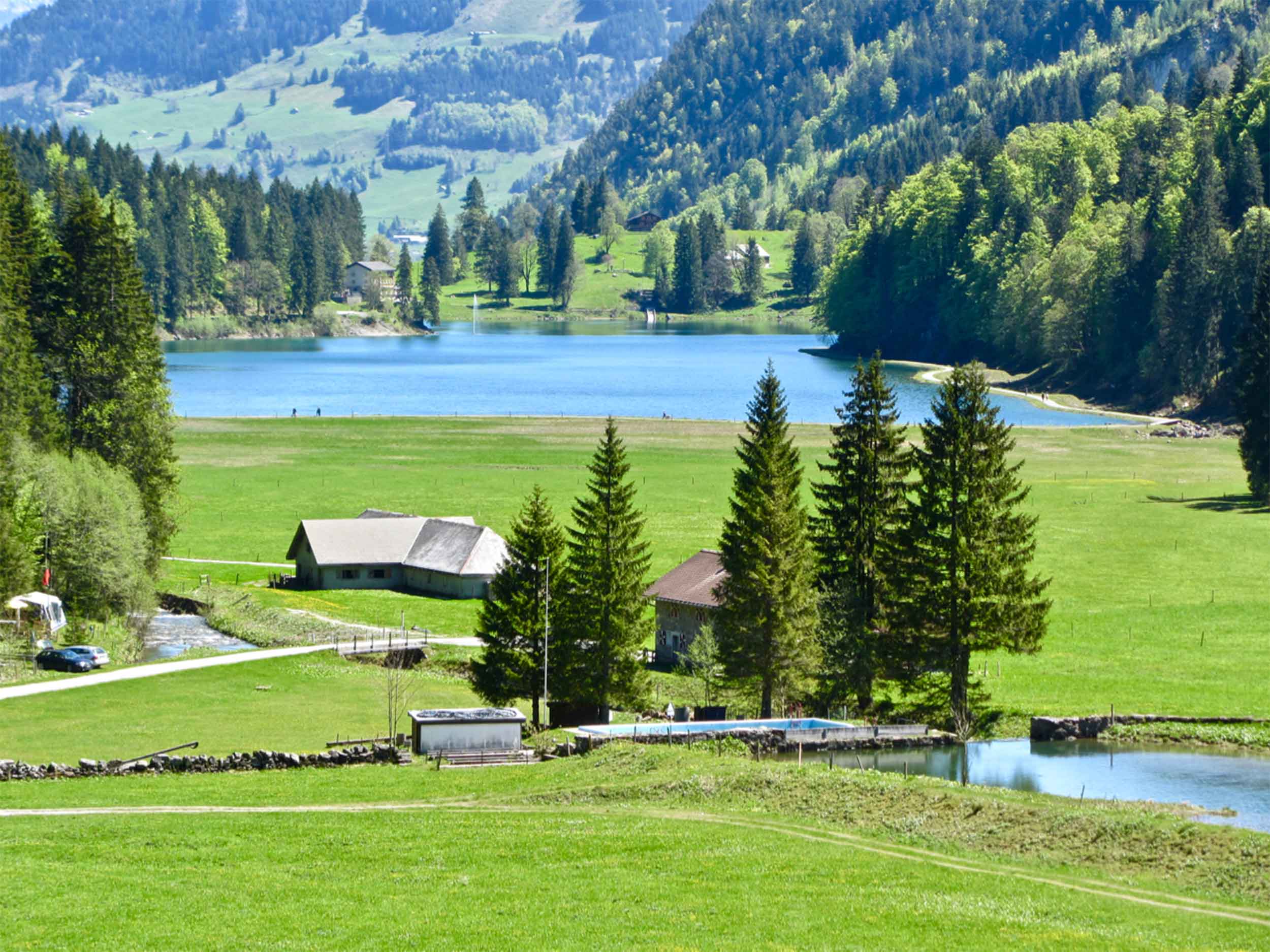 Alp Obersee Stafel and Rautialp Tour by Erwin Tours of Switzerland - Customized and Personal Farm Tours in Switzerland - Photo © Erwin Fässler Photography